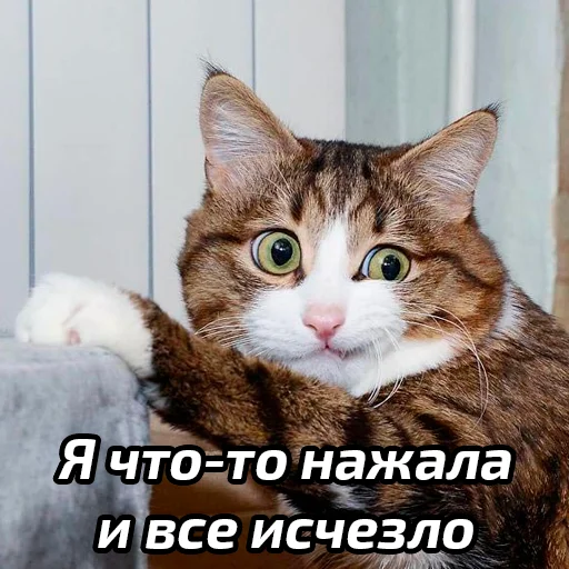 Эмодзи Бабские стикеры