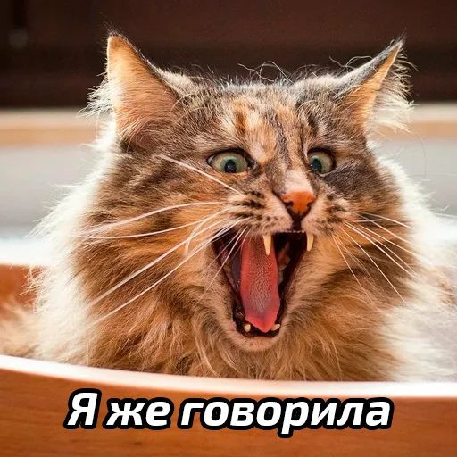 Эмодзи Бабские стикеры