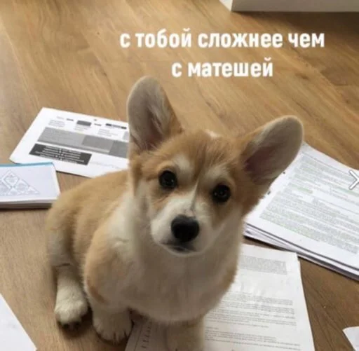 Эмодзи zhenyamssongs