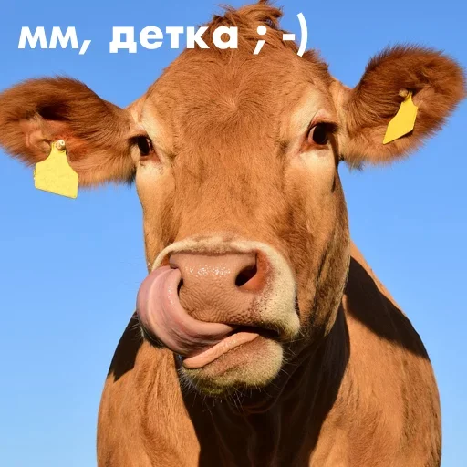 😗