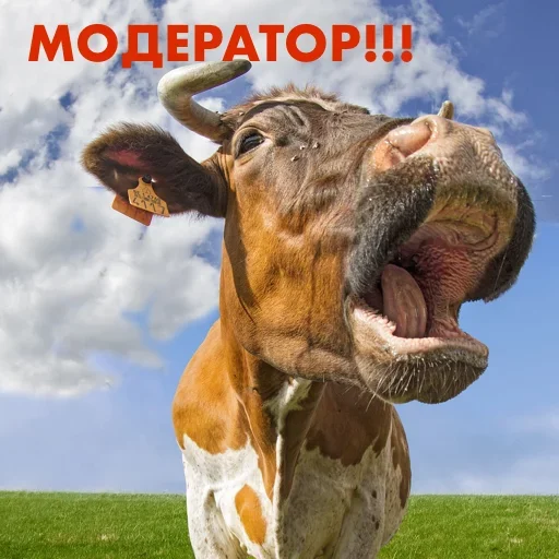 Эмодзи Crazed