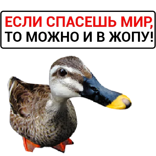 Эмодзи Злая Утка