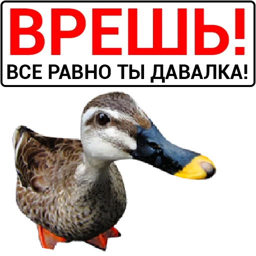 Эмодзи Злая Утка