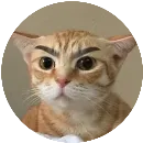 Эмодзи Злой Кот