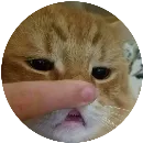 Эмодзи Злой Кот