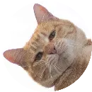 Эмодзи Злой Кот