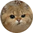 Эмодзи Злой Кот