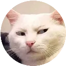 Эмодзи Злой Кот