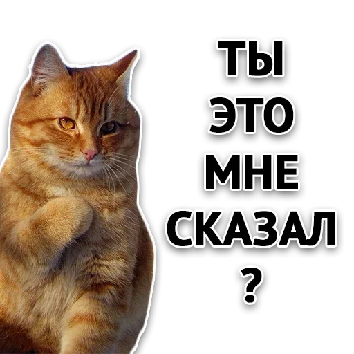 Эмодзи Злой Пак