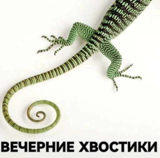 Эмодзи ??????ZOV??????