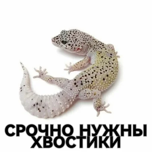 Эмодзи ??????ZOV??????