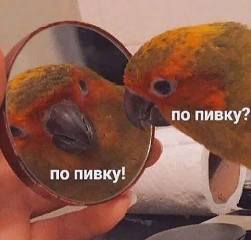 ?