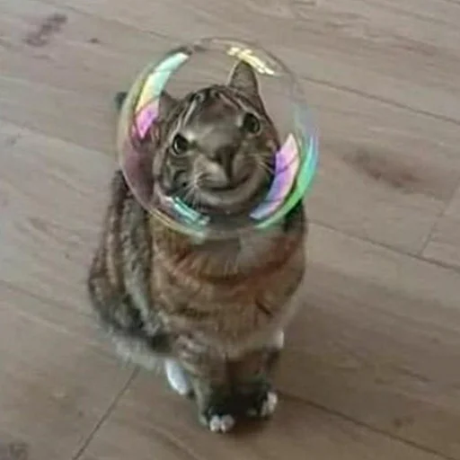 Эмодзи звуки тоста