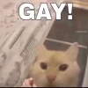 🏳️🌈