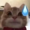 Эмодзи Котики