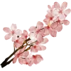 Эмодзи Flowers