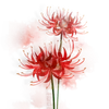 🥀