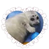 Эмодзи Seals