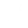 🤍