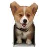 Эмодзи Корги