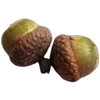 🌰