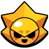🌟