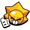 🌟