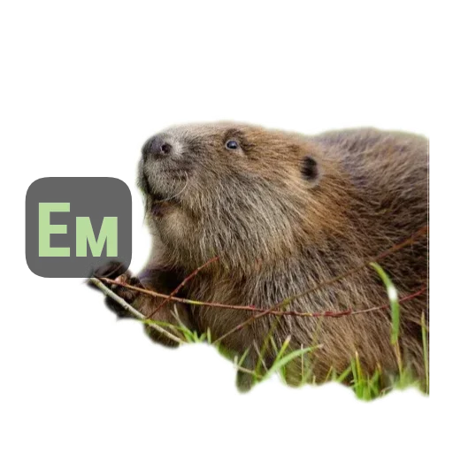 Эмодзи Бобры Милашки
