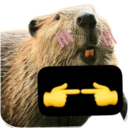 Эмодзи Бобры Милашки