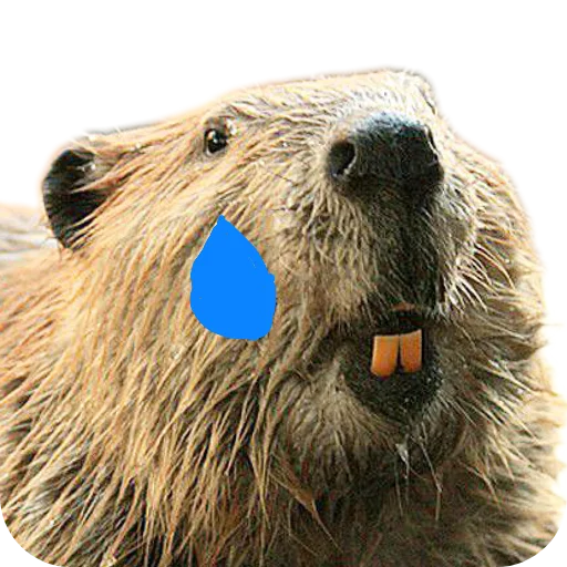 Эмодзи Бобры Милашки