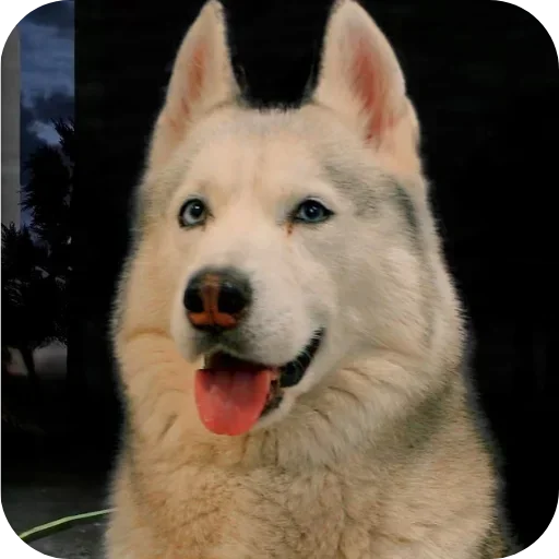 Эмодзи Бублик Бандит Коржик Кекс