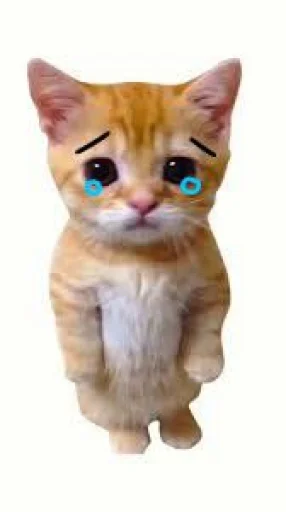 Эмодзи El Gato