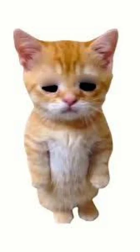 Эмодзи El Gato