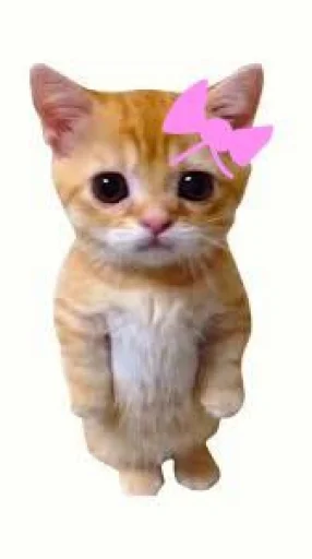 Эмодзи El Gato