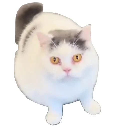 Эмодзи Котики