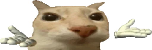 Эмодзи Котики