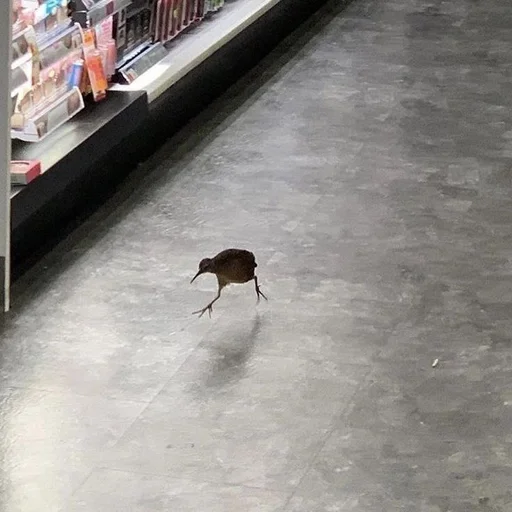 Эмодзи Киви