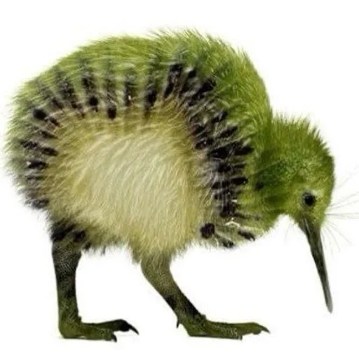 Эмодзи Киви