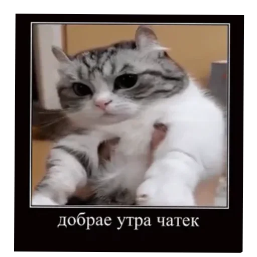 Эмодзи Комару