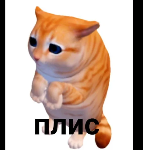 Эмодзи Котики