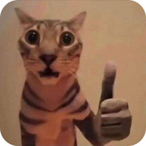 Эмодзи Котятки