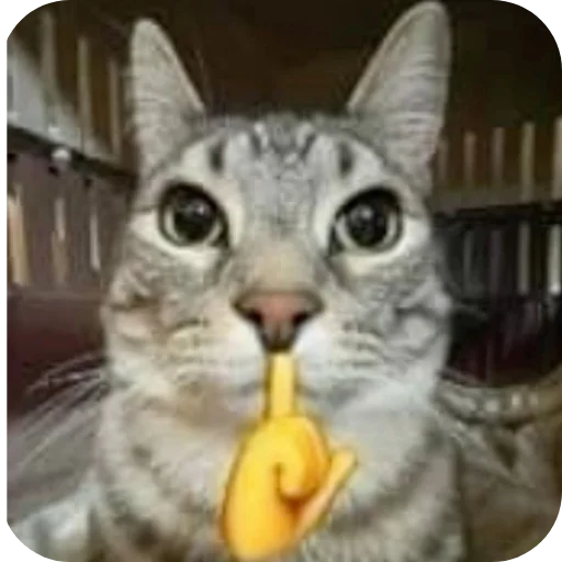 Эмодзи Котятки