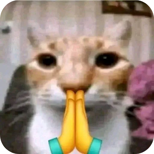 Эмодзи Котятки