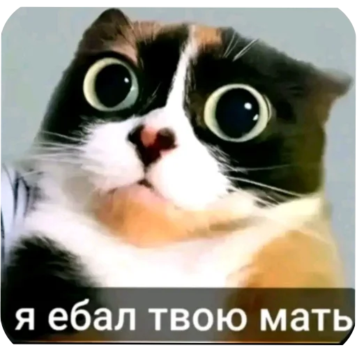 Эмодзи Куки