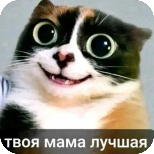 Эмодзи Куки
