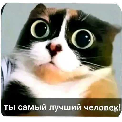 Эмодзи Куки