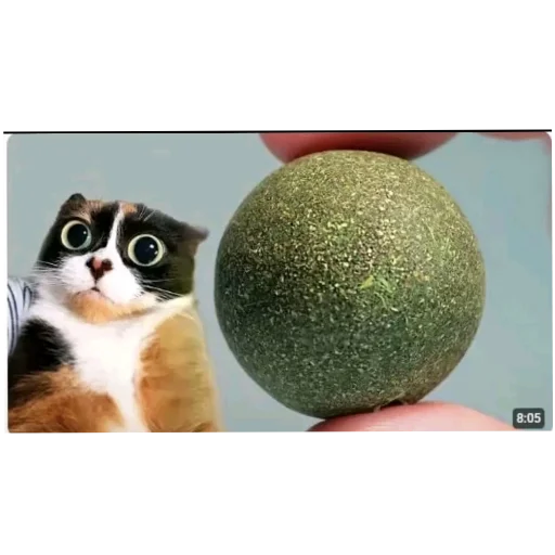 Эмодзи Куки