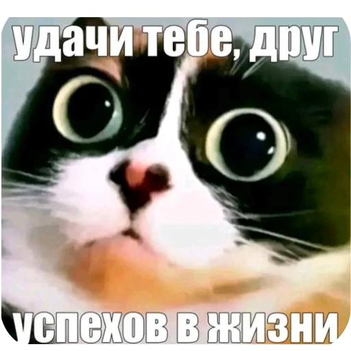 Эмодзи Куки