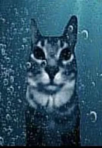 Эмодзи Cats