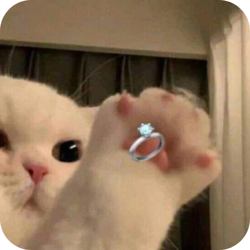 Эмодзи Милые котики